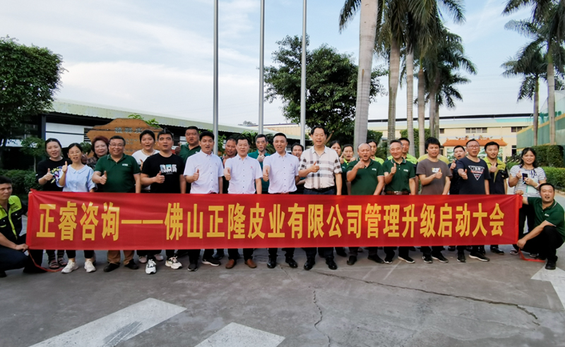 助力皮革行業(yè)再樹標(biāo)桿——正隆皮業(yè)全面管理升級(jí)項(xiàng)目啟動(dòng)！