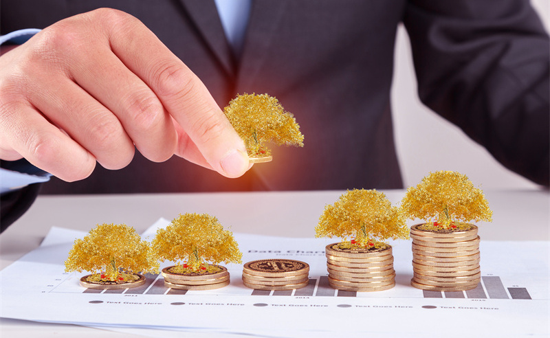 業(yè)績管理與績效評估、薪酬管理和職業(yè)發(fā)展之間的關系