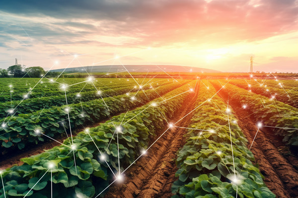 「咨詢公司」供應(yīng)鏈管理的目的和意義是什么？