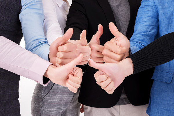 組織文化建設(shè)咨詢：塑造積極企業(yè)文化，提升組織凝聚力