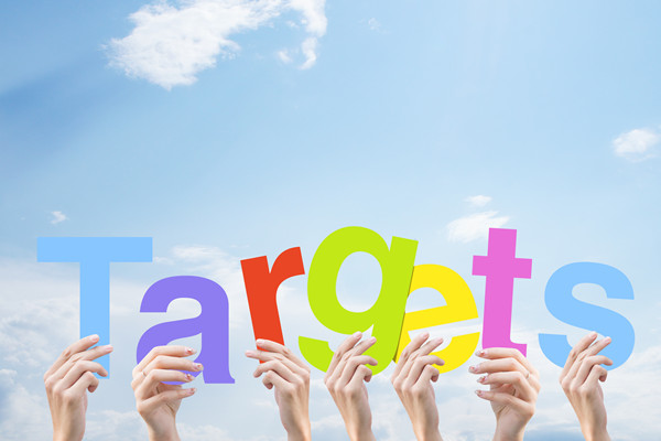 構(gòu)建科學(xué)績效管理體系，提升組織整體績效水平