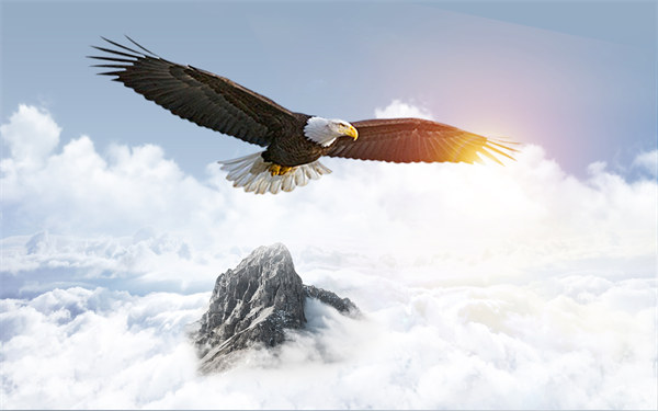 組織規(guī)劃引領(lǐng)企業(yè)變革，塑造全新管理模式與未來(lái)