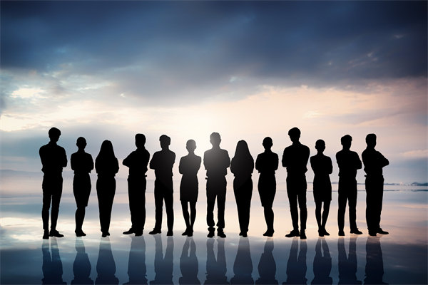 優(yōu)化組織結(jié)構(gòu)，提升協(xié)作效能，助推組織發(fā)展新高度