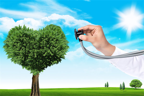 員工福利設(shè)計(jì)新思維：如何平衡成本效益與員工滿意度？