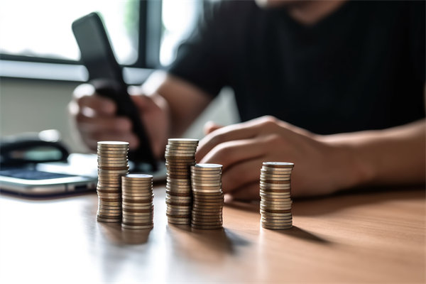 環(huán)境快速變化，如何確保預(yù)算執(zhí)行的靈活性和適應(yīng)性？