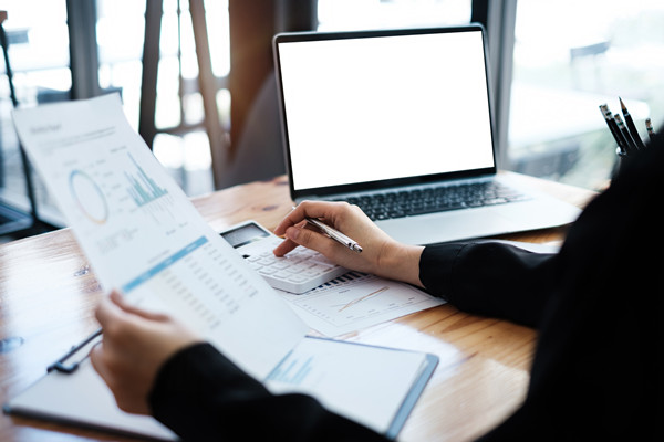 預(yù)算監(jiān)控與調(diào)整機制如何建立，確保預(yù)算執(zhí)行到位？