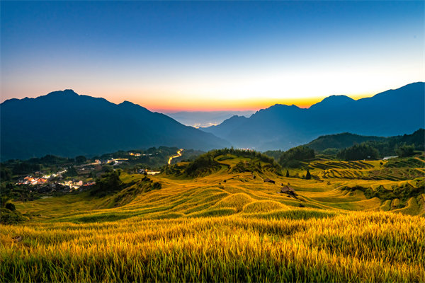 定制化管理咨詢方案：麗水企業(yè)轉(zhuǎn)型升級的鑰匙？