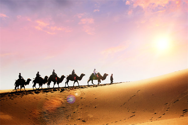 企業(yè)文化在人力資源管理中，扮演著怎樣的角色？