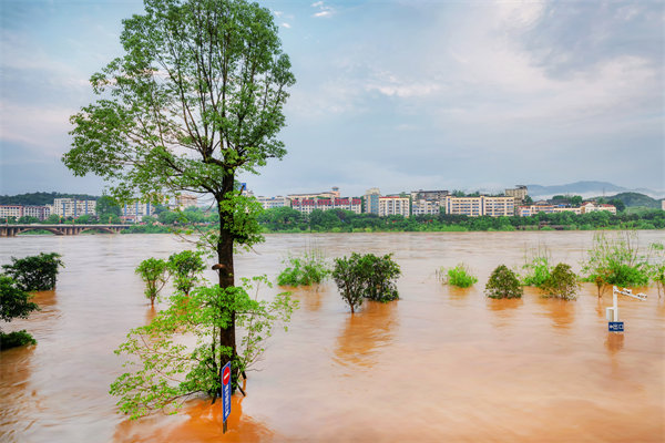 供應鏈韌性建設：面對自然災害的應急計劃與恢復力？