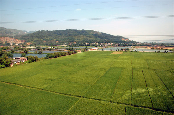 清遠(yuǎn)績(jī)效咨詢(xún)公司如何定制高效績(jī)效管理體系？