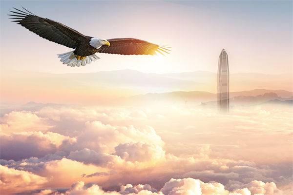 企業(yè)文化與企業(yè)管理如何協(xié)同，推動(dòng)企業(yè)持續(xù)發(fā)展？