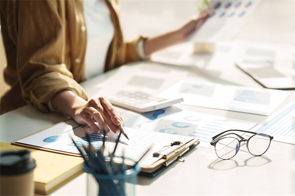 在預算執(zhí)行中，如何確保監(jiān)控與調整機制的有效性？