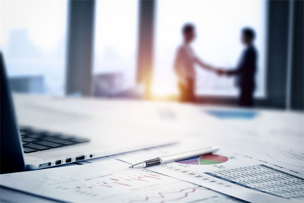 在預(yù)算執(zhí)行中，如何確保監(jiān)控與調(diào)整機(jī)制的有效性？