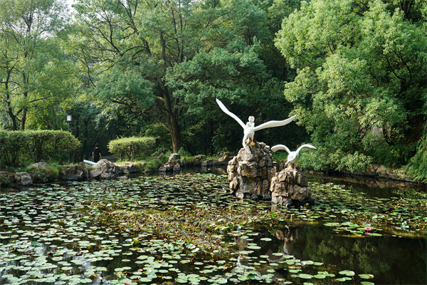 株洲預(yù)算管理咨詢公司如何為企業(yè)打造精準(zhǔn)預(yù)算管理體系？