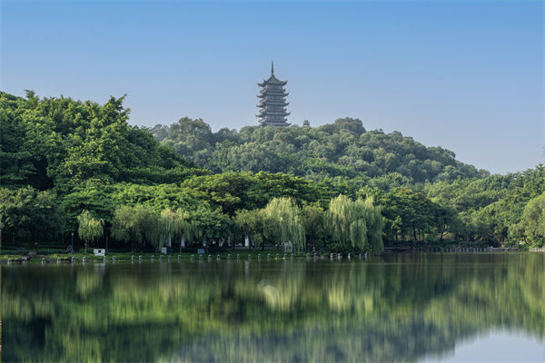 如何評估佛山集團管控咨詢公司的服務(wù)質(zhì)量和效果？