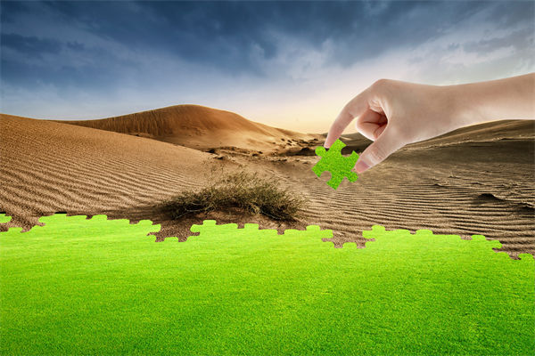 企業(yè)深陷困境，管理咨詢?nèi)绾我岳做侄未蚱瓢l(fā)展僵局？