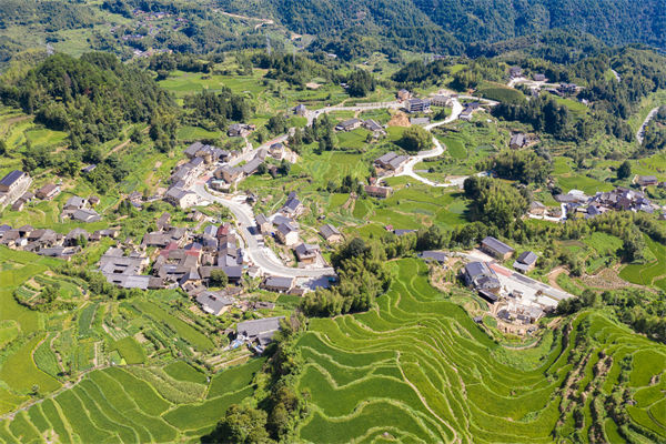 企業(yè)薪酬激勵乏力，麗水薪酬咨詢公司如何激發(fā)員工積極性？