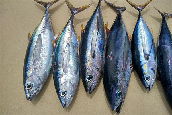 商務(wù)部：將幫助外貿(mào)企業(yè)擴(kuò)寬內(nèi)銷渠道，政策解讀！