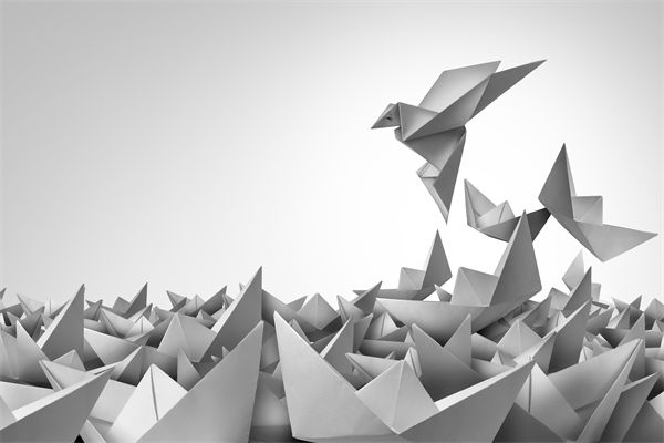 變革期文化斷層，如何用管理體系凝聚團隊共識？