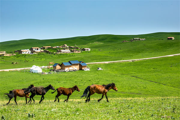 飛新疆的機票價格漲爆了，什么情況？是營銷炒作？
