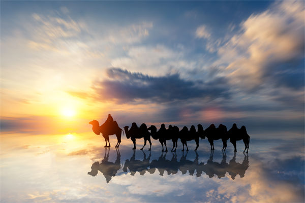 戰(zhàn)略與文化脫節(jié)，企業(yè)理念如何落地支撐發(fā)展？