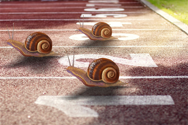 新業(yè)務(wù)拓展艱難，年度經(jīng)營(yíng)計(jì)劃為其定制專屬發(fā)展路徑