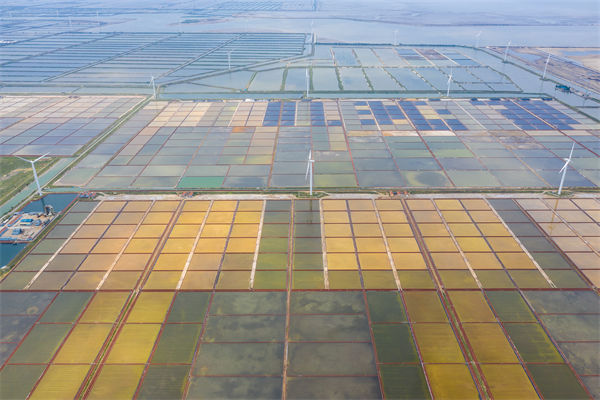 濰坊制造業(yè)招工難留人更難，濰坊人力資源咨詢公司如何破局用工困局？