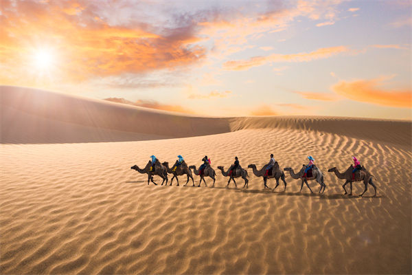 企業(yè)文化管理失效？這三大認(rèn)知誤區(qū)為何拖垮團(tuán)隊(duì)？