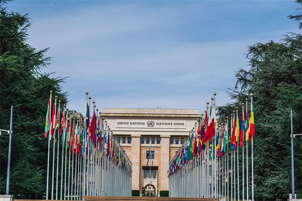 英法等25國發(fā)表聯(lián)合聲明，企業(yè)組織規(guī)劃有何啟示？