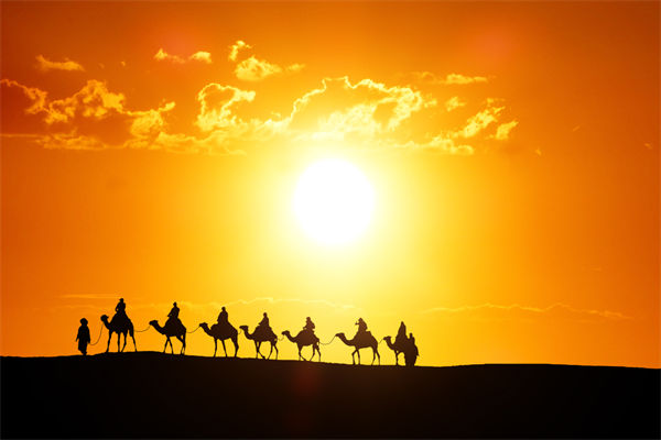 高層標(biāo)榜的企業(yè)文化，如何穿透形式真正落地生根？