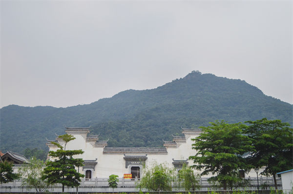 子公司各自為戰(zhàn)內(nèi)耗大，佛山集團(tuán)管控咨詢公司有何整合之道？