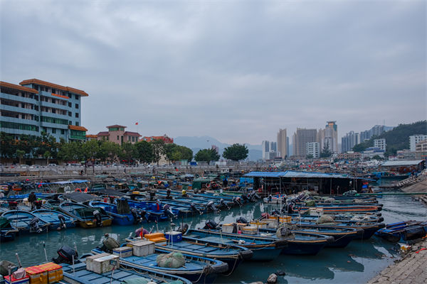 精益生產(chǎn)分析：開海第一網(wǎng)撈8000斤，船長合不攏嘴