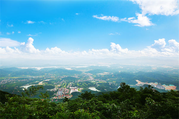 企業(yè)戰(zhàn)略飄在半空落地難，惠州戰(zhàn)略咨詢公司能錨定方向嗎？