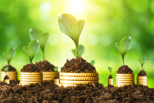 預(yù)算管理咨詢公司如何幫助企業(yè)破解資金錯配問題？