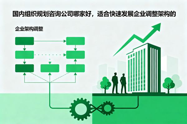 國內(nèi)組織規(guī)劃咨詢公司哪家好，適合快速發(fā)展企業(yè)調(diào)整架構(gòu)的