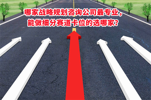 哪家戰(zhàn)略規(guī)劃咨詢公司最專(zhuān)業(yè)，能做細(xì)分賽道卡位的選哪家？