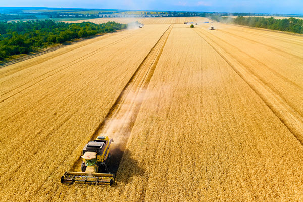 農(nóng)業(yè)行業(yè)供應(yīng)鏈管理咨詢公司推薦，能解農(nóng)資采購成本高問題嗎？